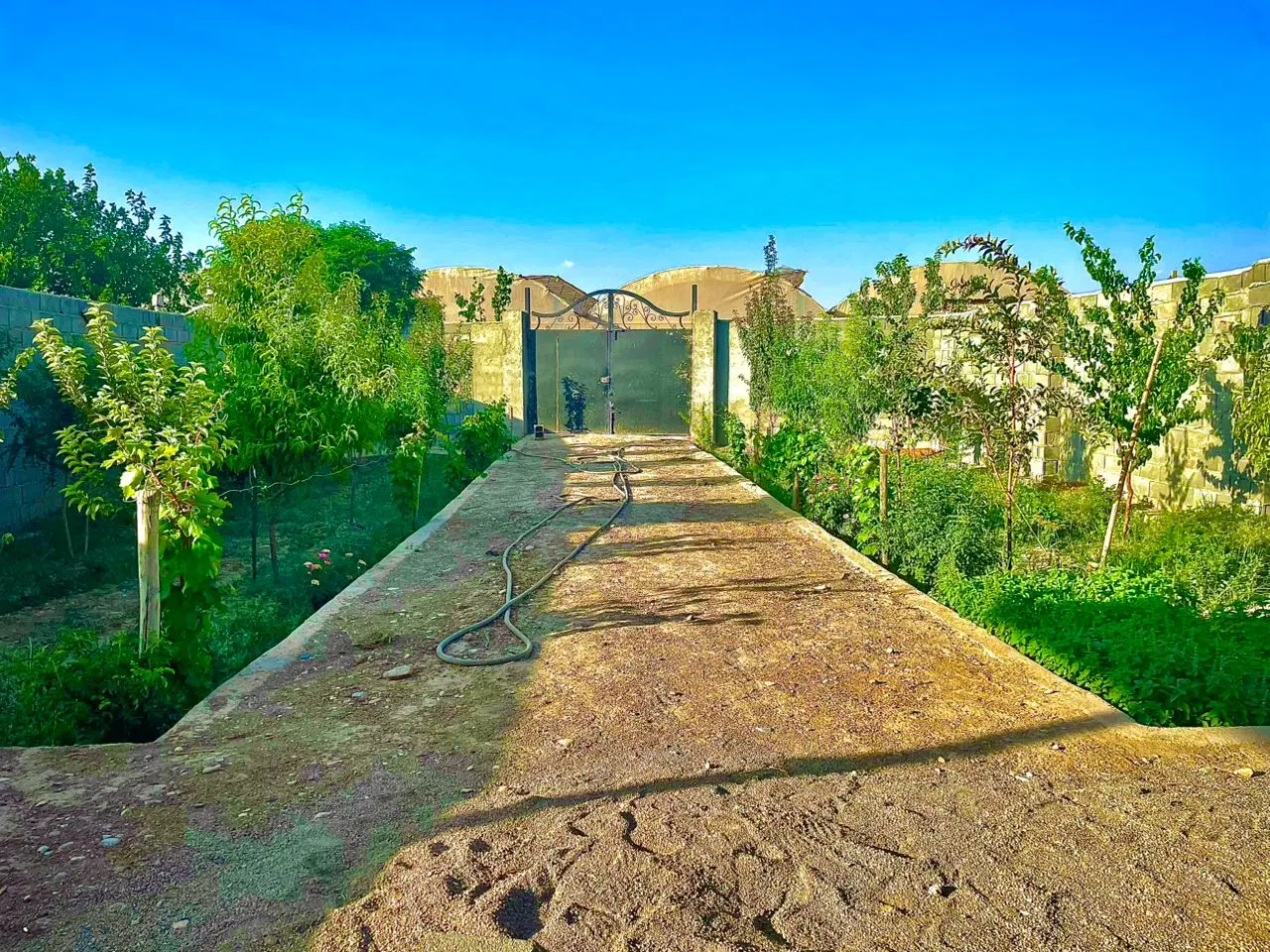 باغچه ۴۰۰ متری