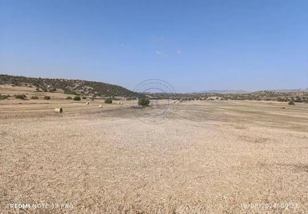 زمین بنیاد مسکن