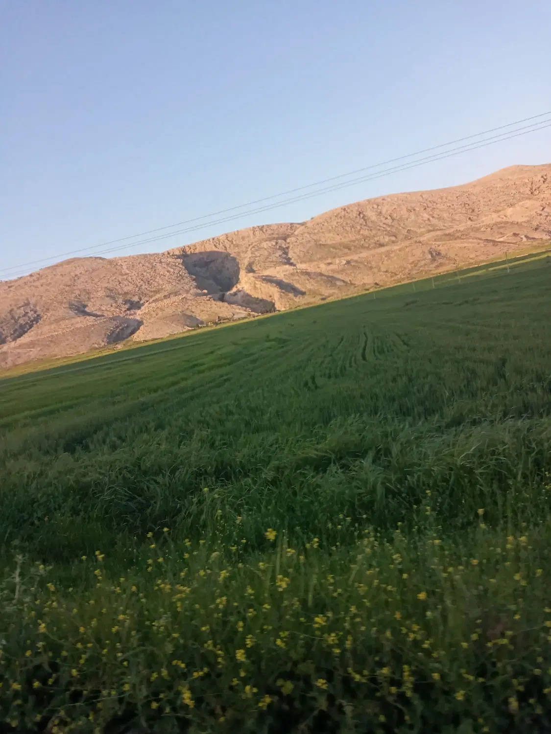 حراج زمین نقلی شهرک ابوالفضل