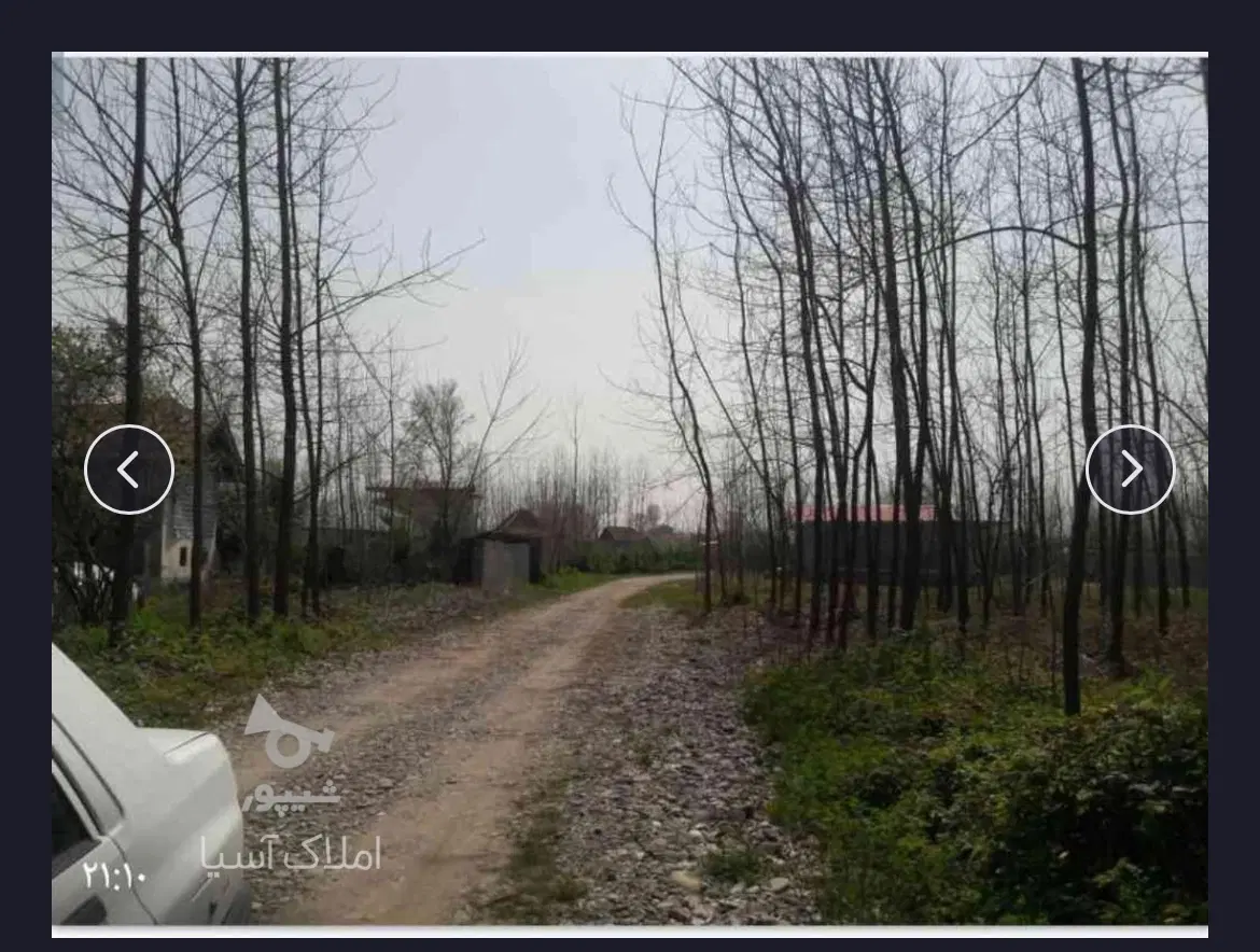 زمین