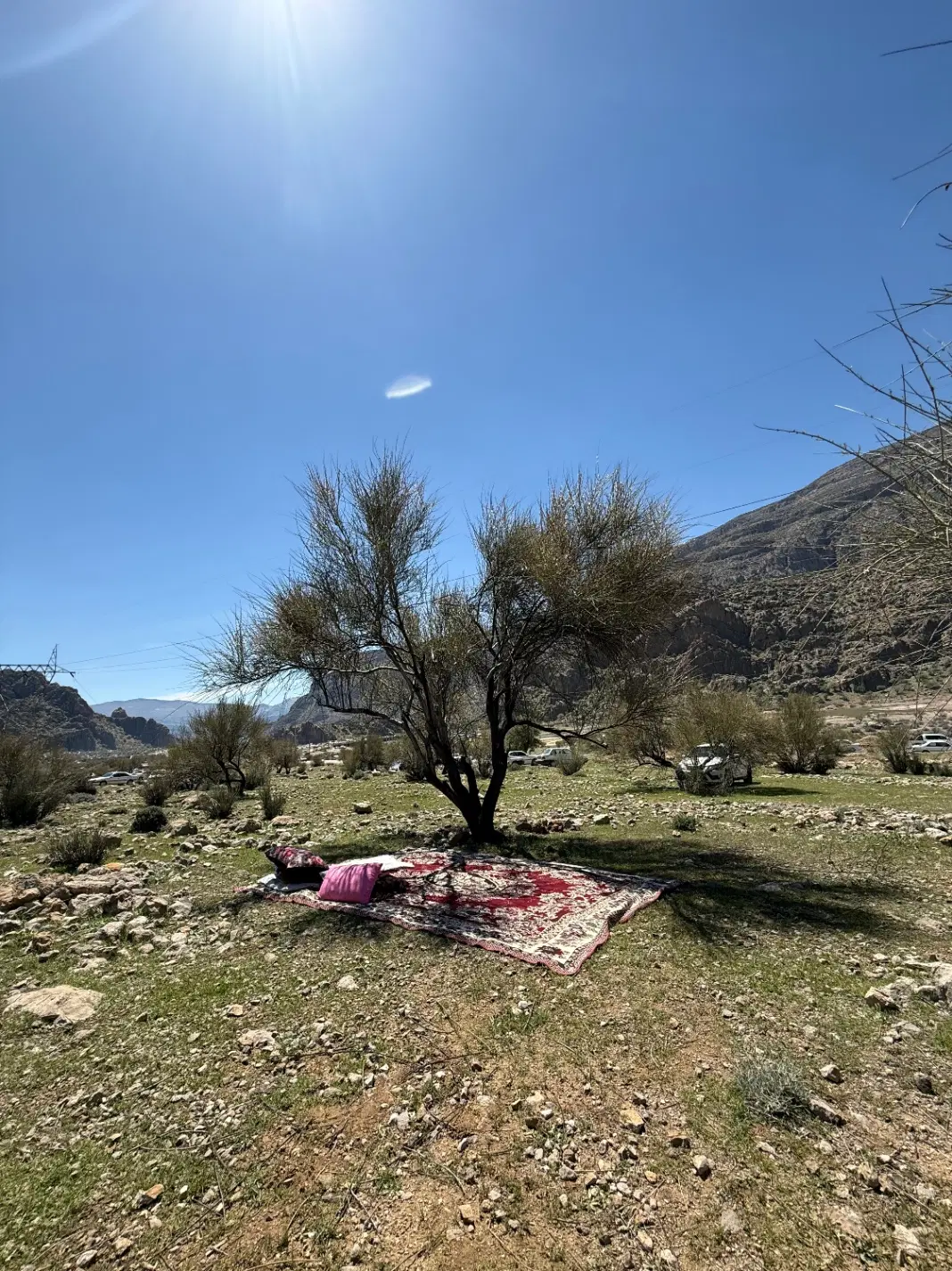 زمین باغشهری