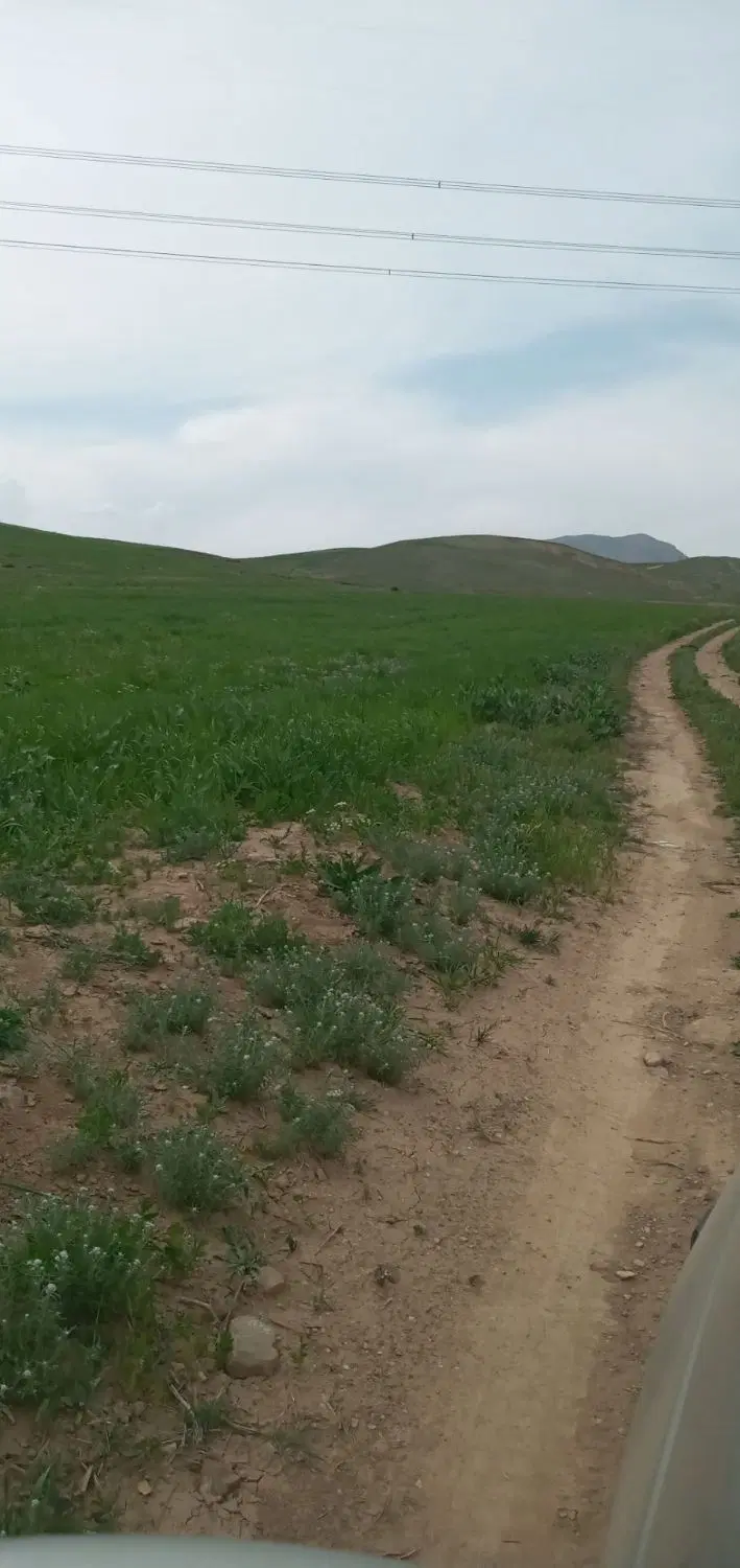 زمین دیم ۴ طناب محلی جاده انهر روستای کوتالان