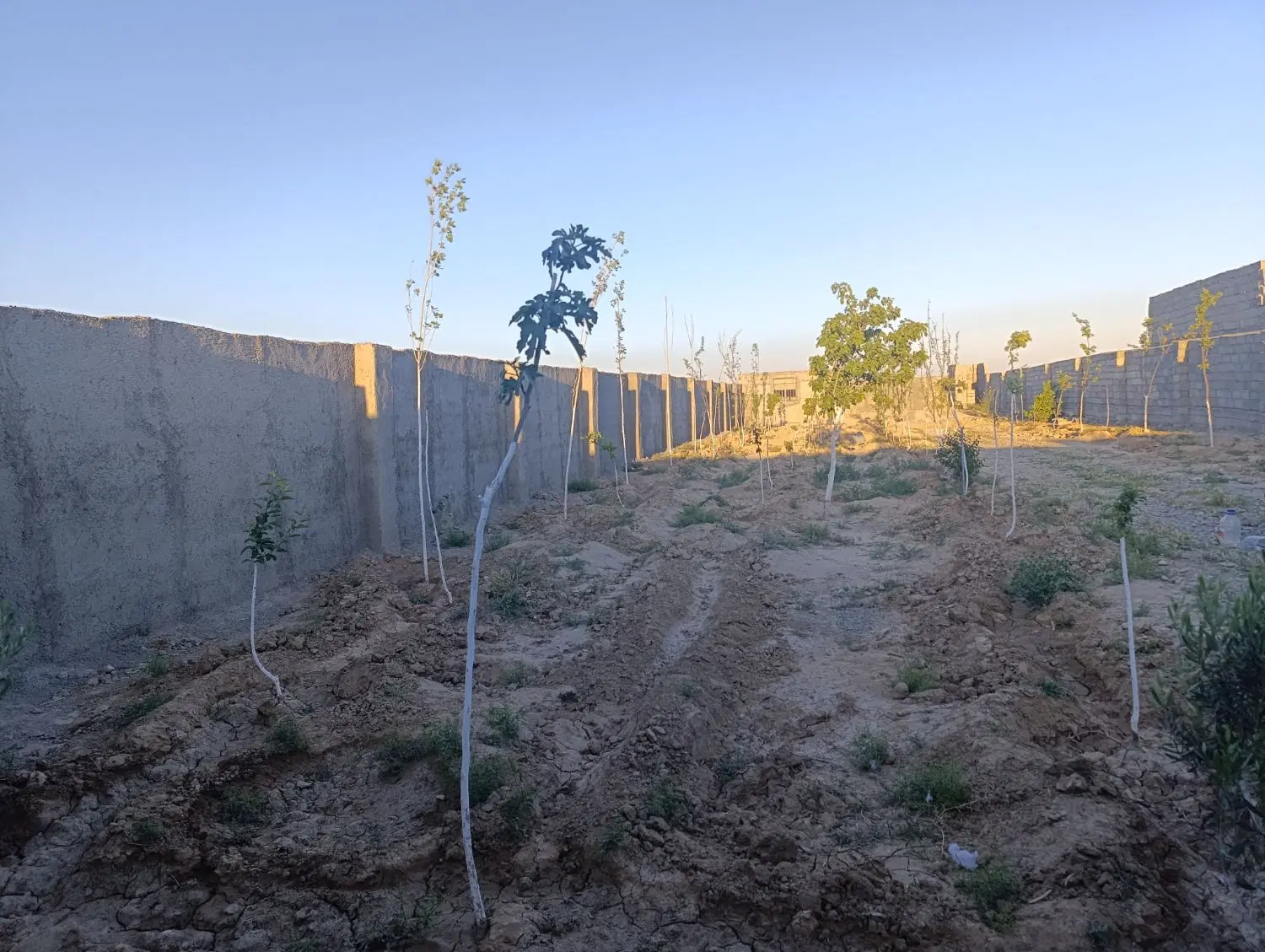 فروش زمین در ارغش آباد