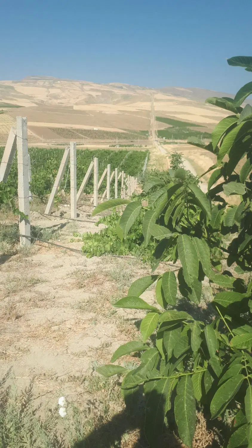 باغ ایستاده خطایلو ۳۰۰۰ متر