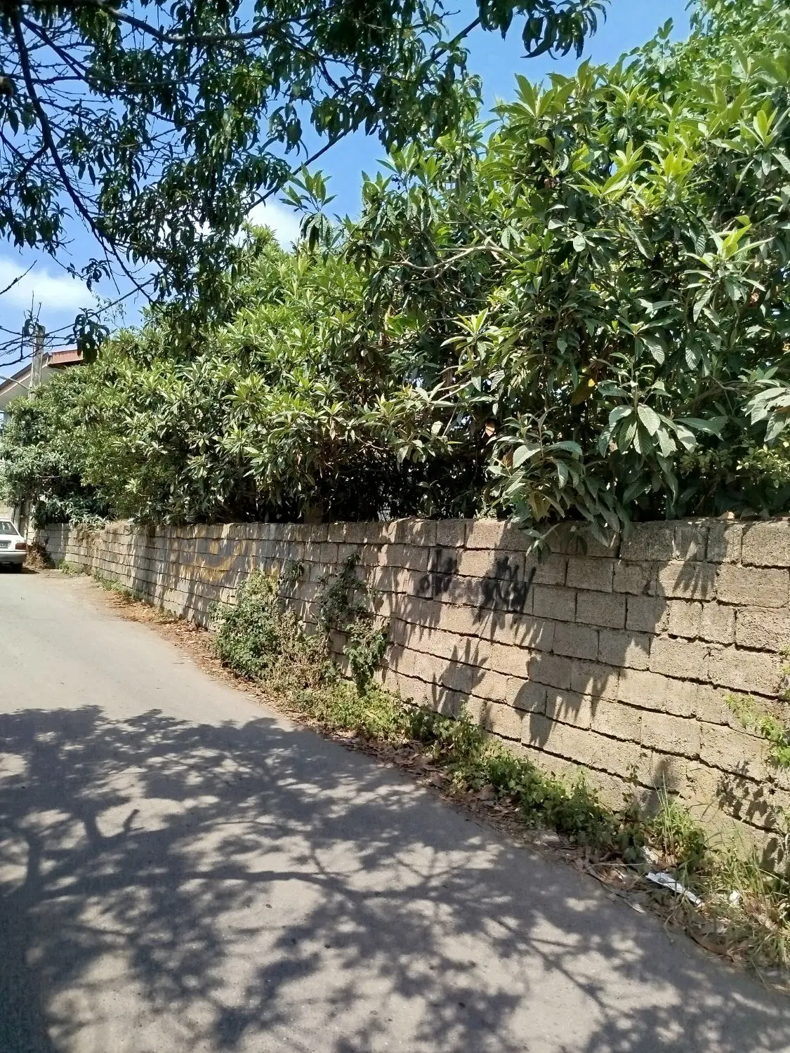 خونه ویلایی حیاط دار