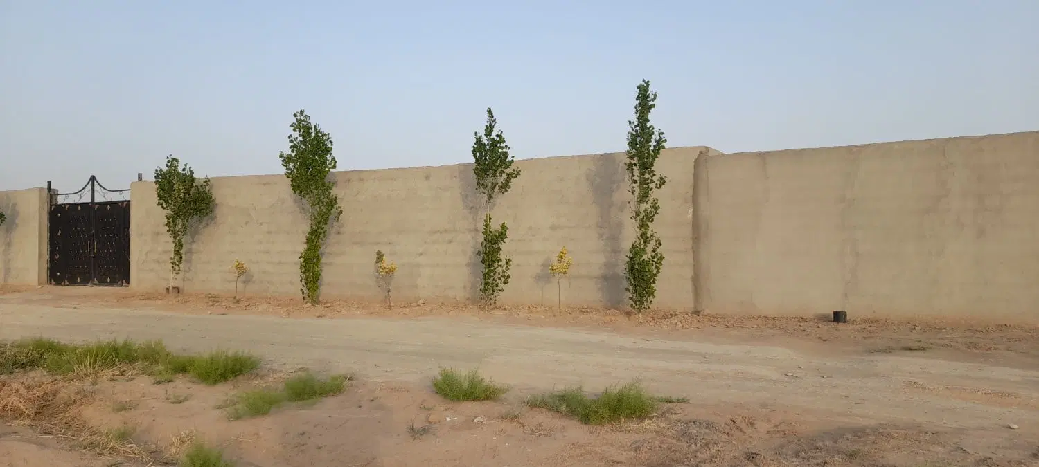 باغ دور دیوار