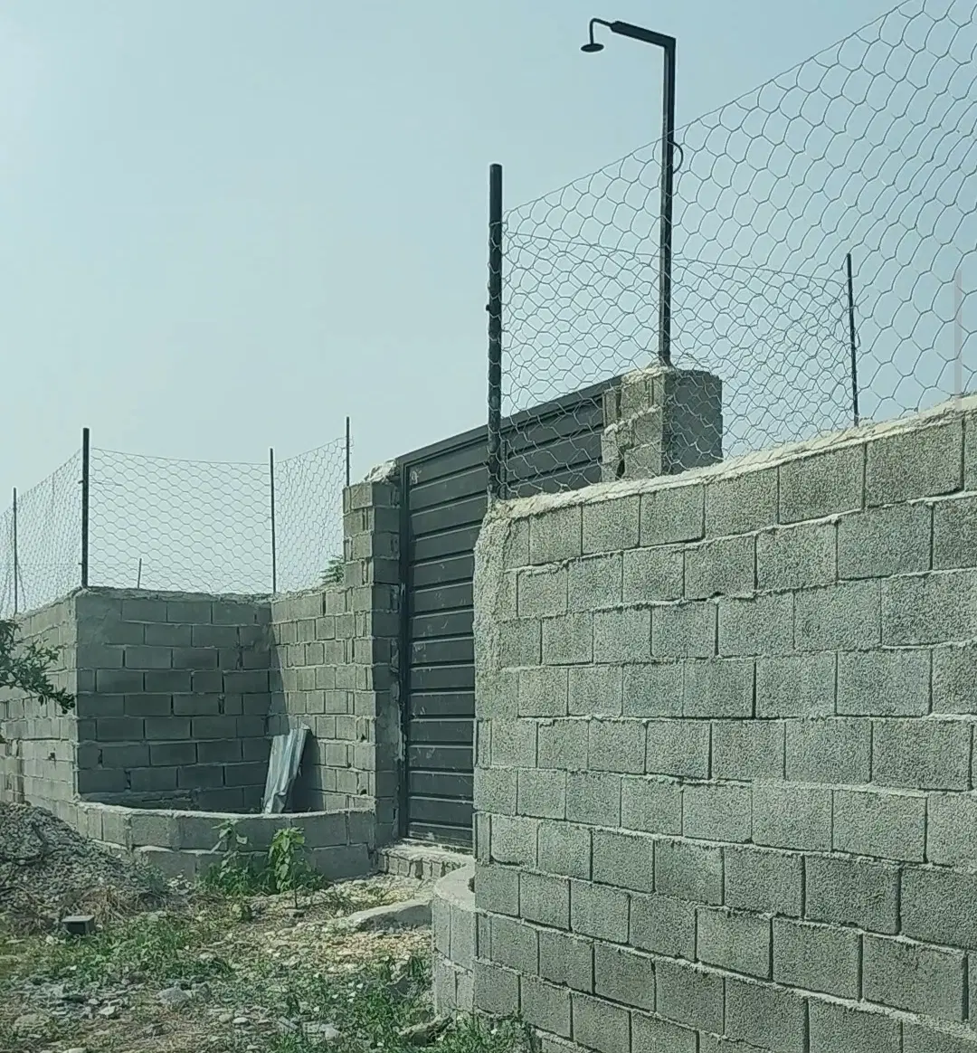 زمین باغی سند تک‌برگ