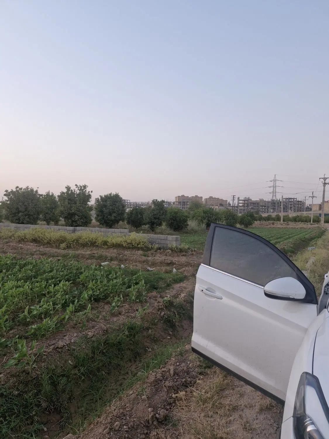 باغچه روبروی آزادگان اتوبان دانش