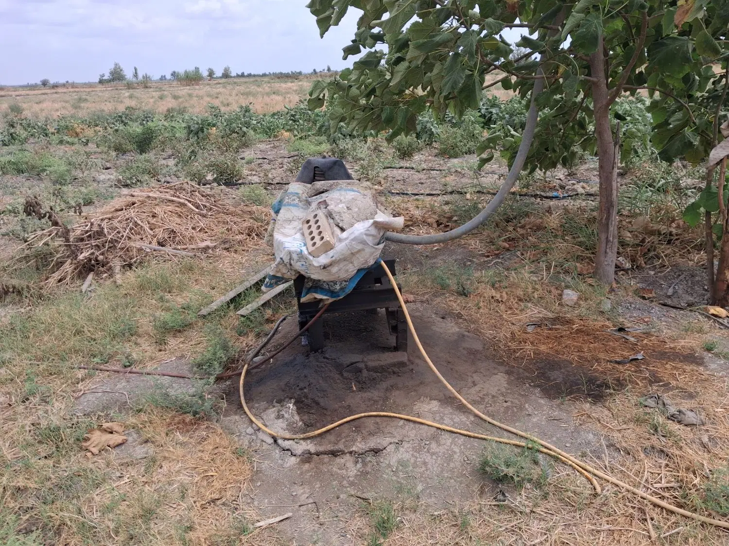 زمین کشاورزی و باغی روستای سلطان آباد