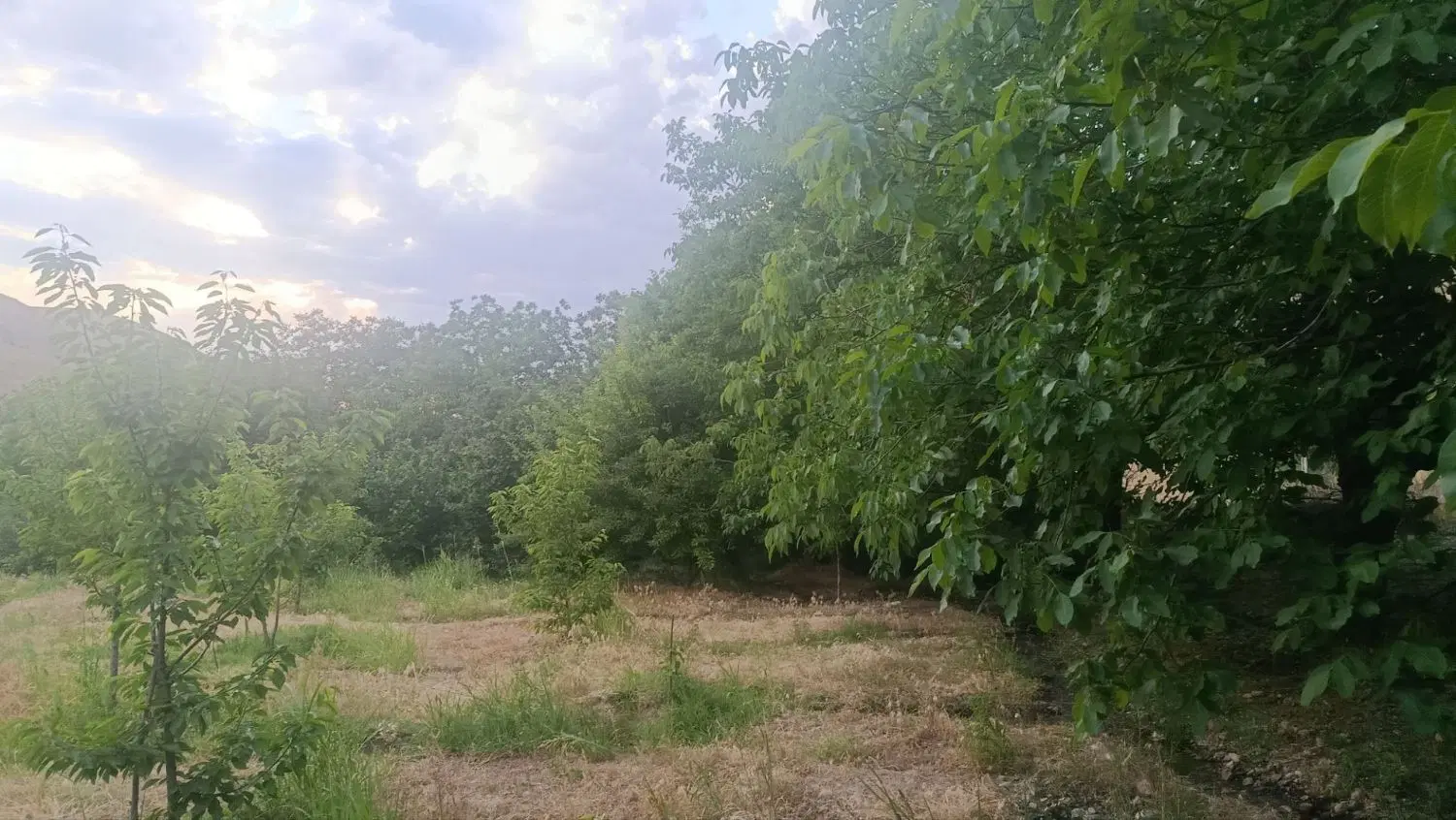 ۱۰۰۰باغ نقلی در منطقه توریستی دوآب
