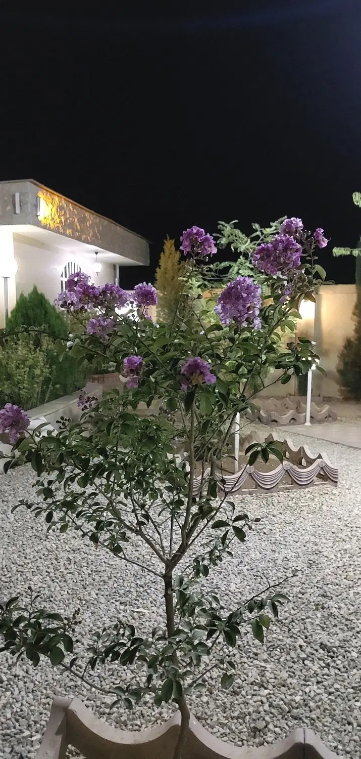 باغشهری ۱۰۰۰ متری تکمیل