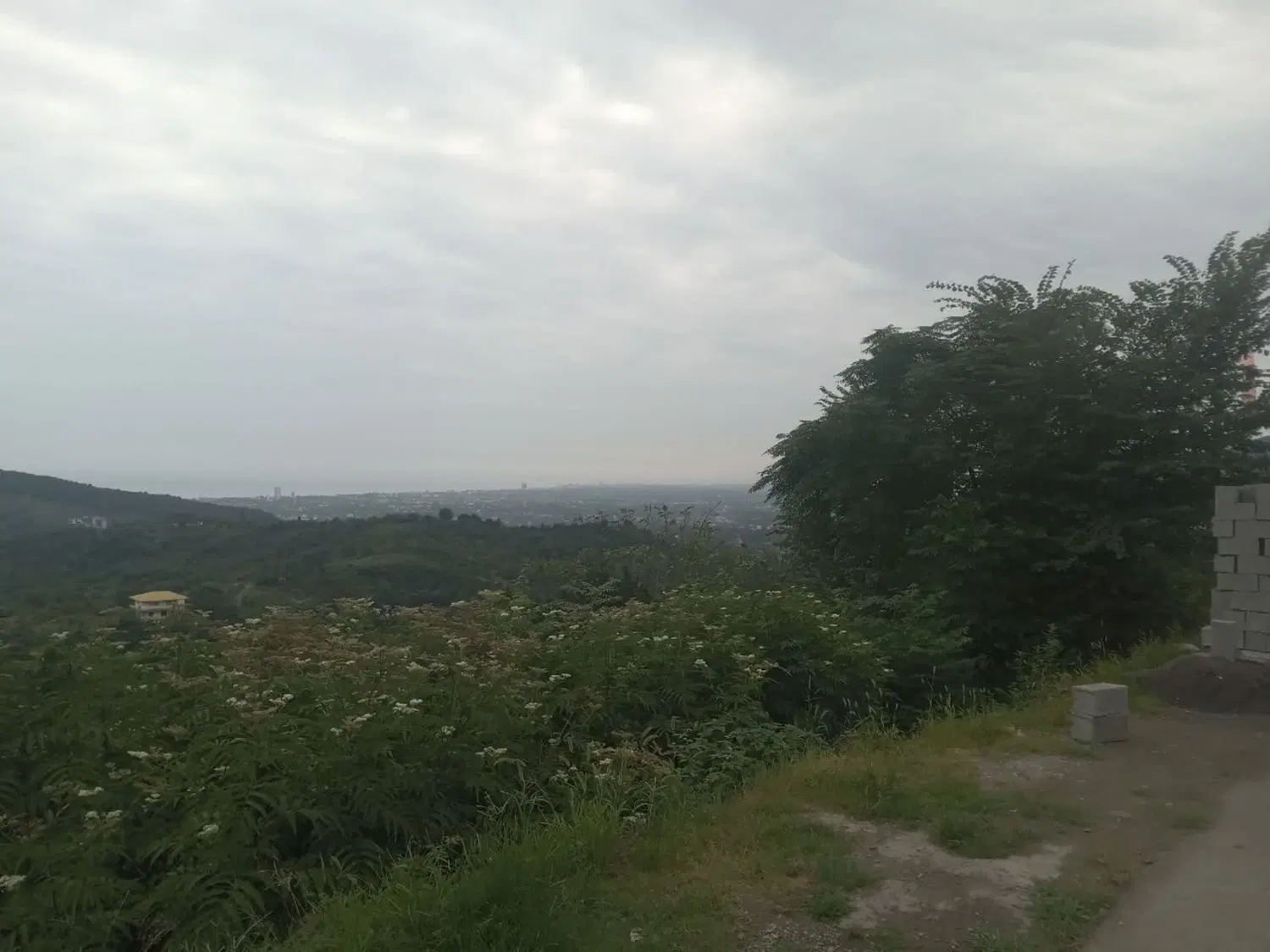 زمین در اربکله رامسر