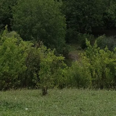 زمین مسکونی