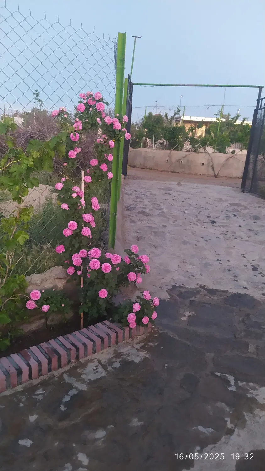 فروش باغ در چشمه قصابان