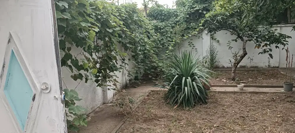 اجاره دفتر اداری. عباس اباد
