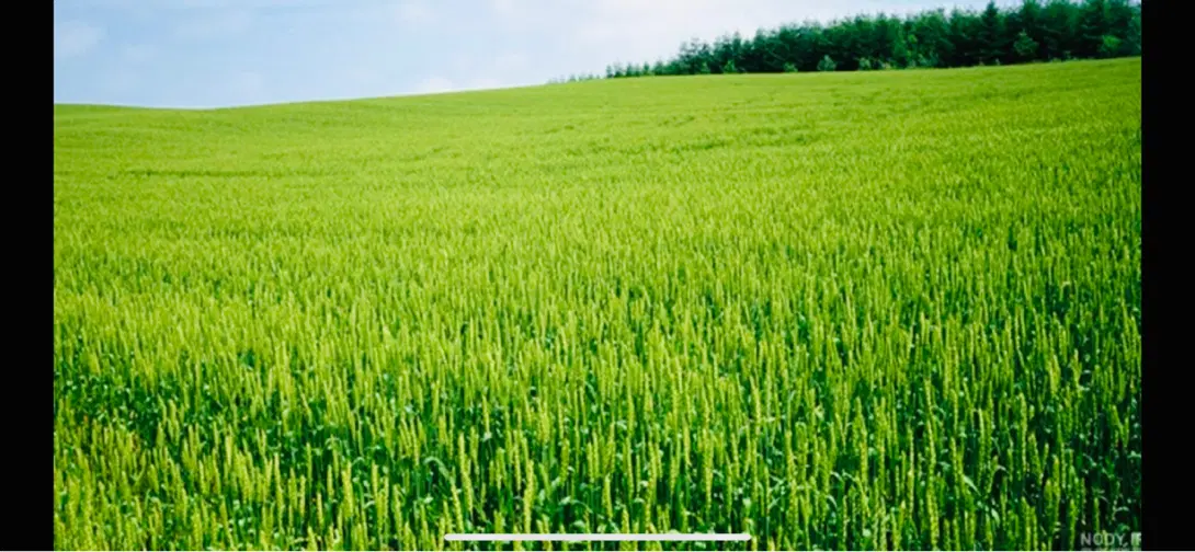 زمین بعد از میدان ازادگان ابتدای جاده اسلام اباد