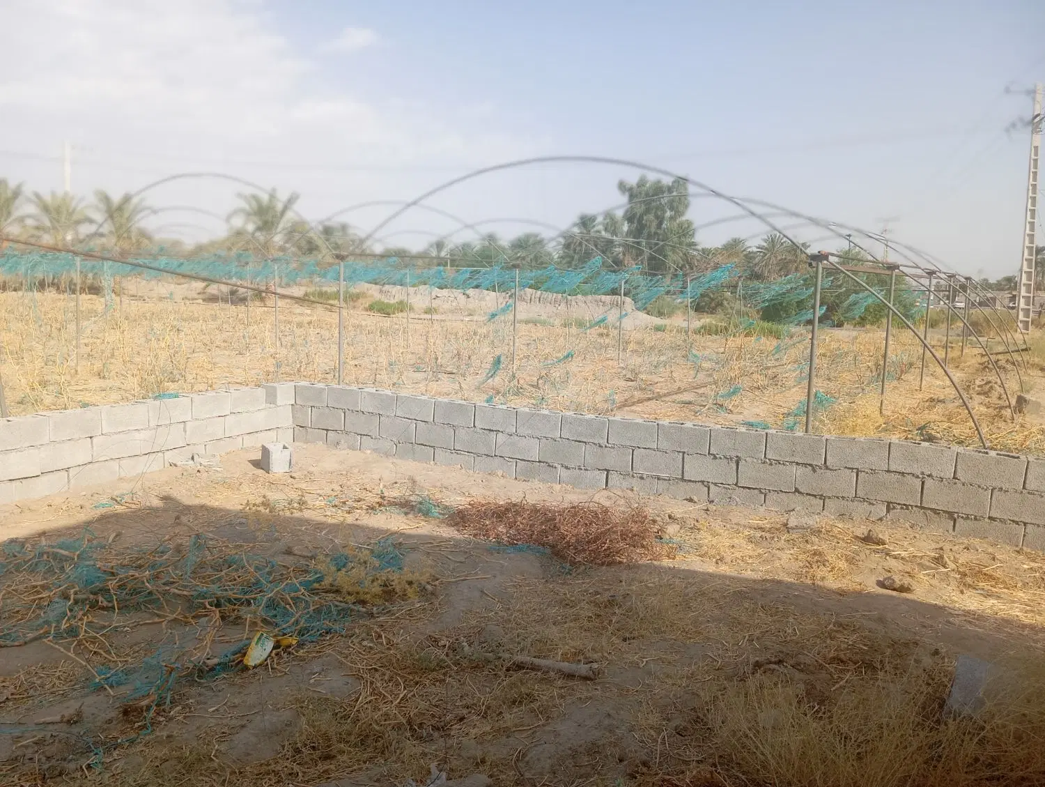 فروش گلخانه 3000متر اسکلت خالی