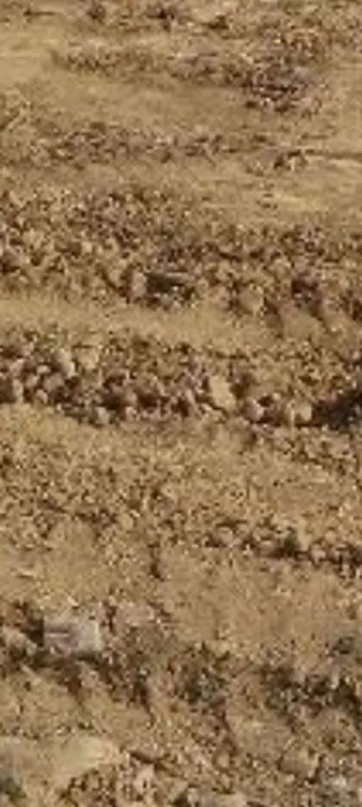 فروش زمین