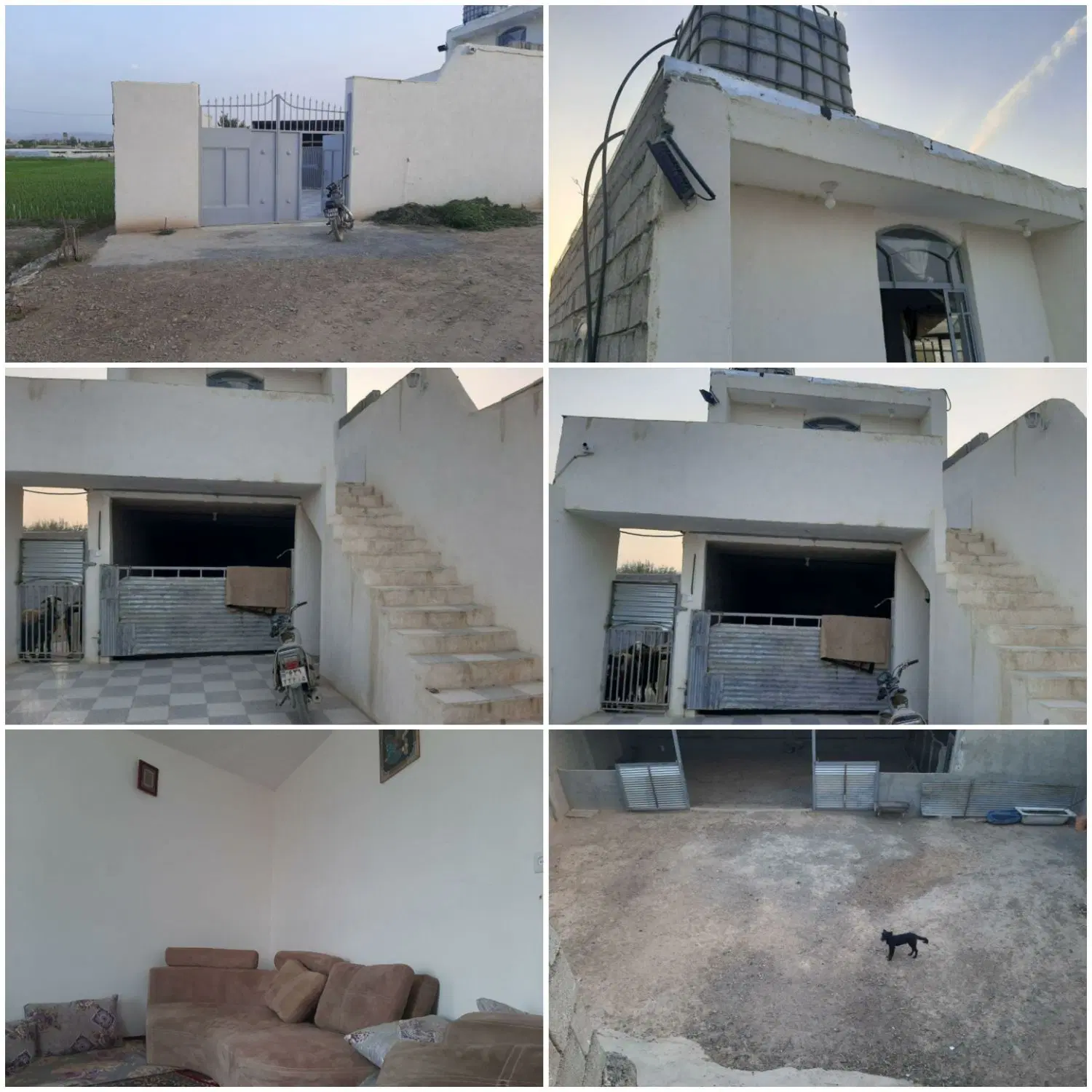 دامداری
