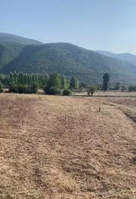 فروش یک قطعه زمین در مازندران کجور