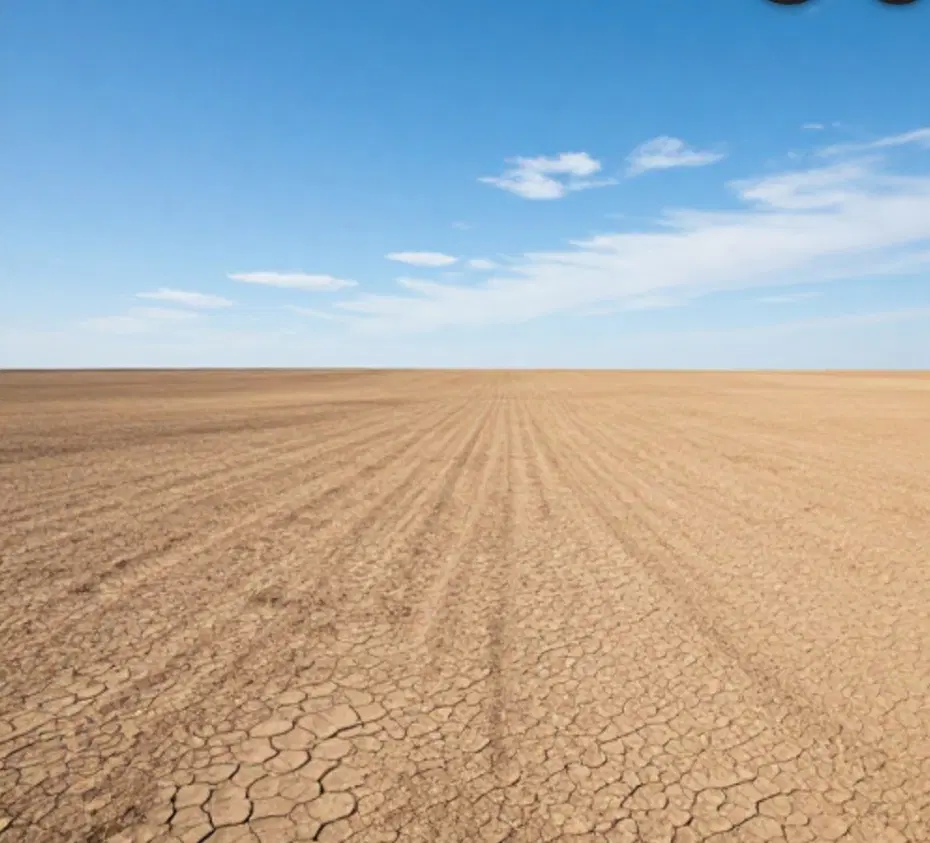 زمین سند دار مناسب برای سرمایه گذاری