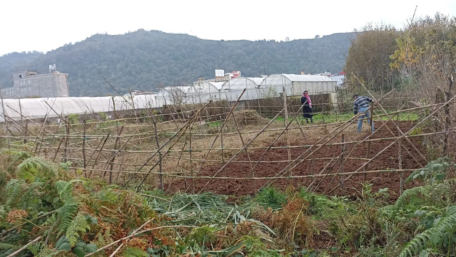 یک قطعه زمین