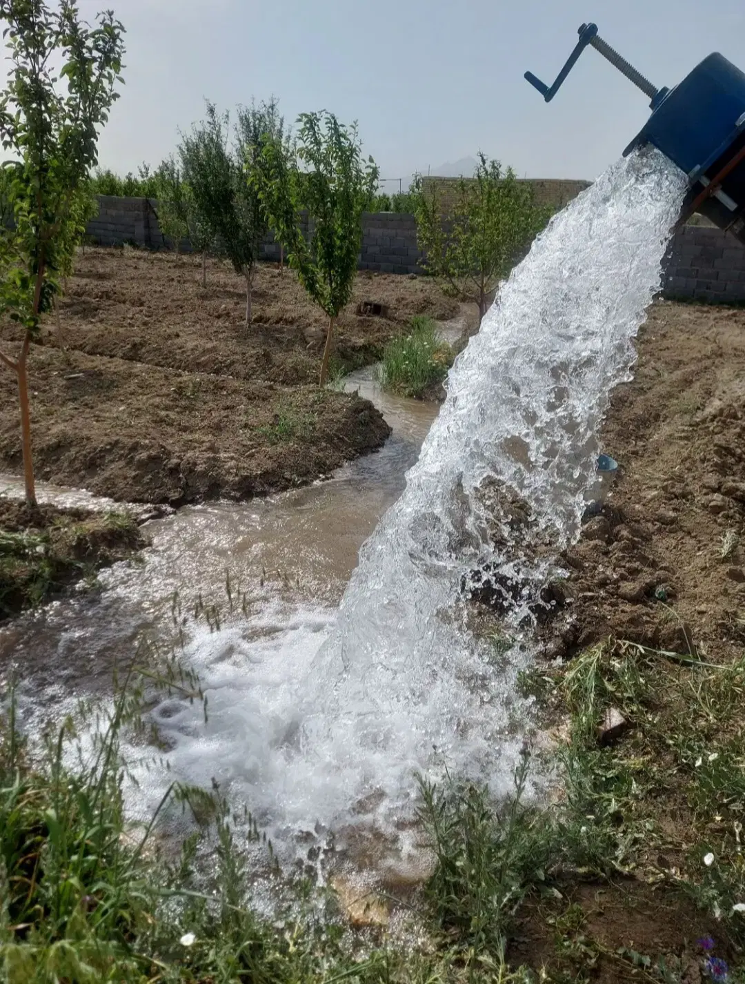 باغ ویلا