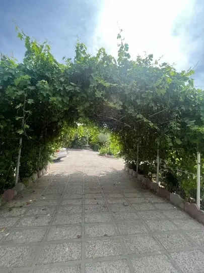 باغ و باغچه