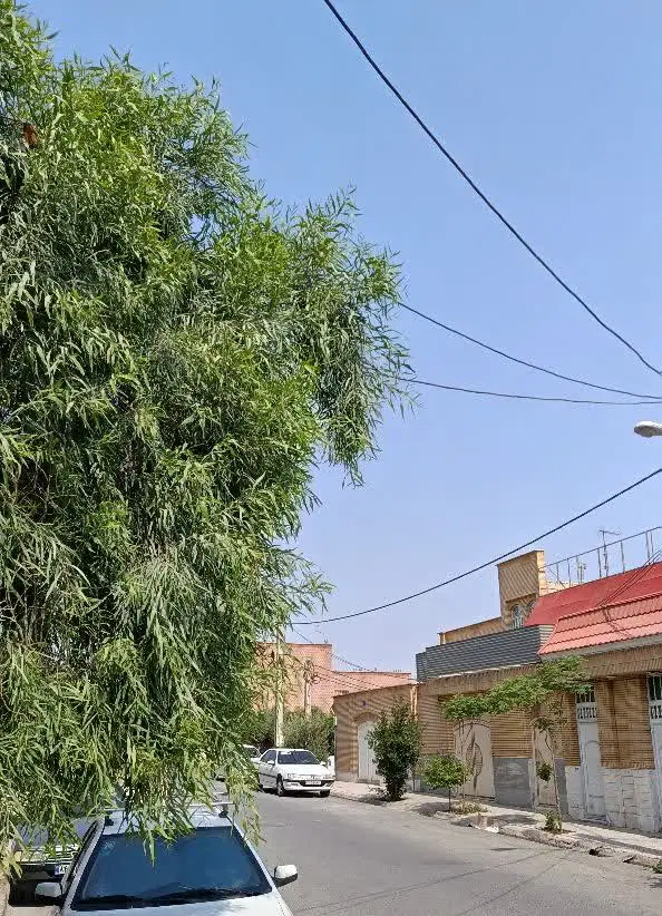 ۱۰۰ متر _ ۲ خواب _ طبقه اول _ با آسانسور _ذوالفقار