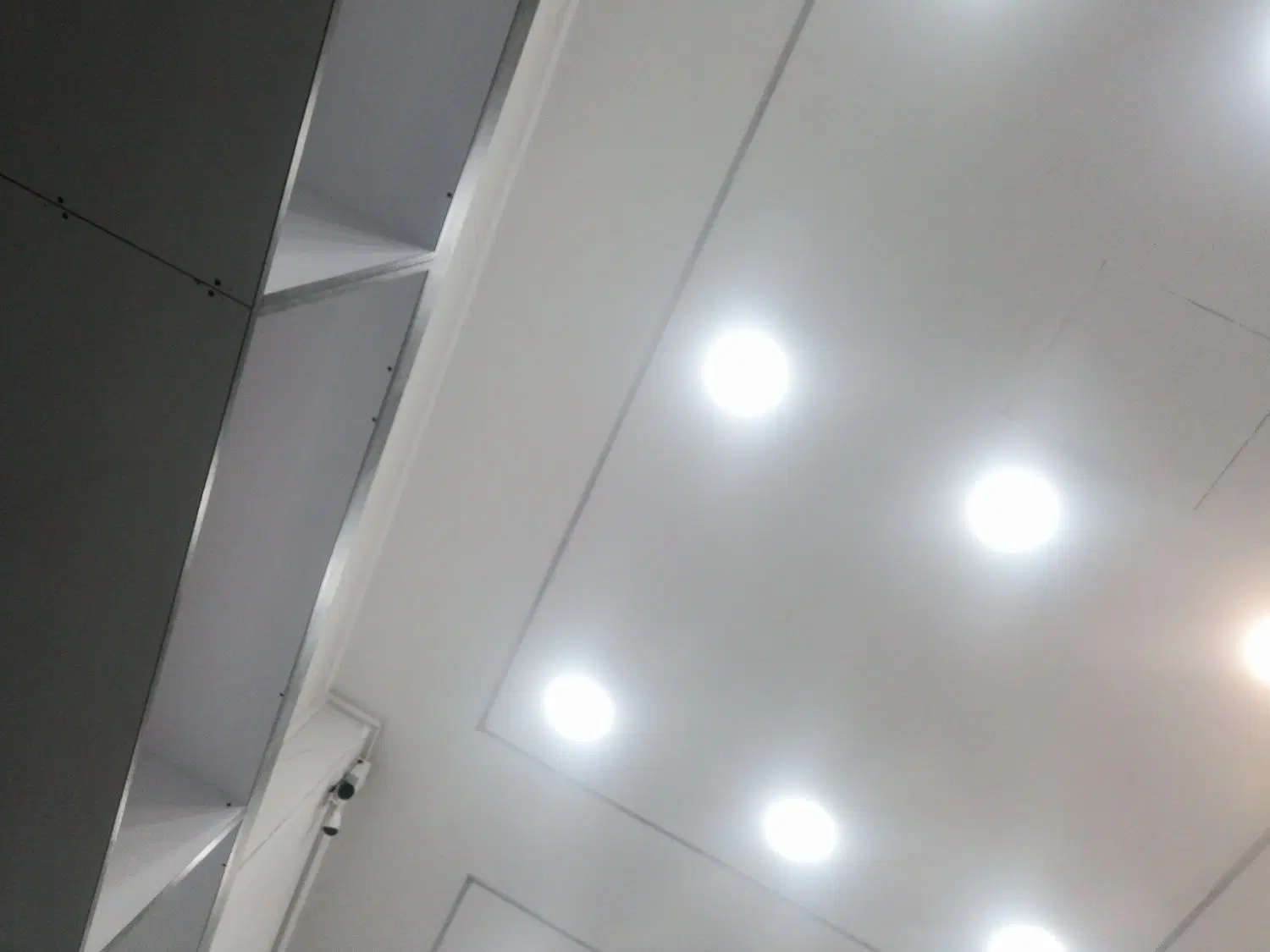 فروش منظل