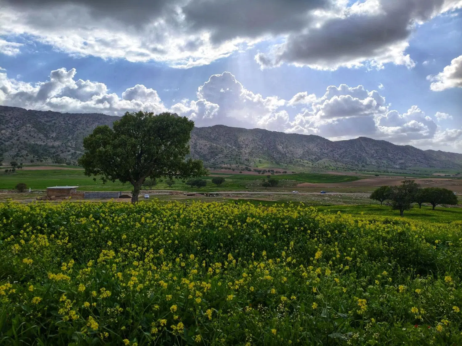 140 متر زمین شهرک معلم