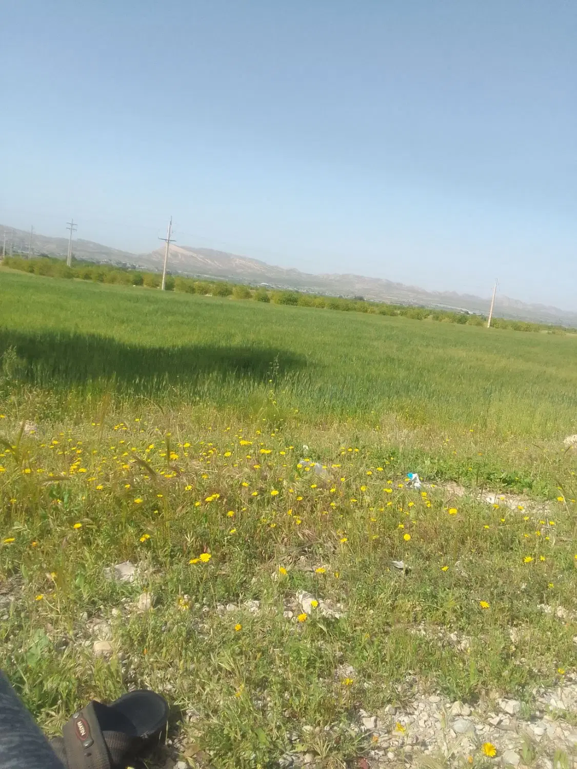 زمین
