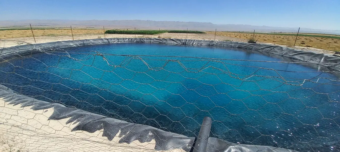 اجاره زمین کشاورزی برای زعفران