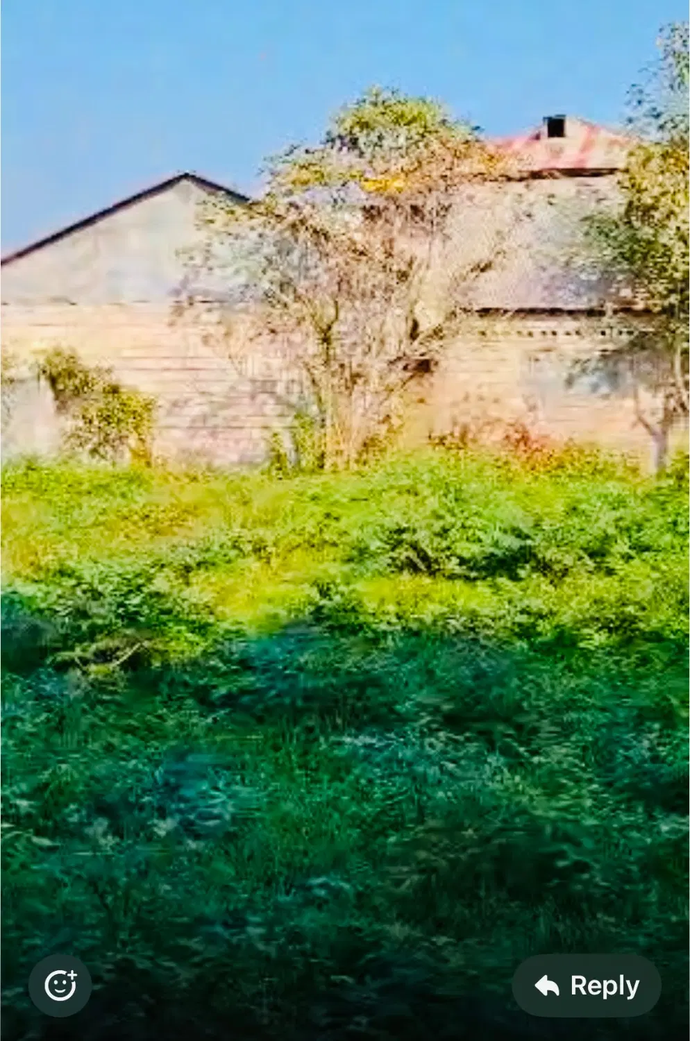 زمین مسکونی-بلوار بهشتی