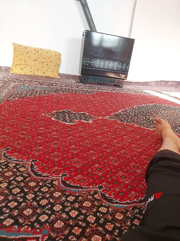 اپارتمان اجاره ای