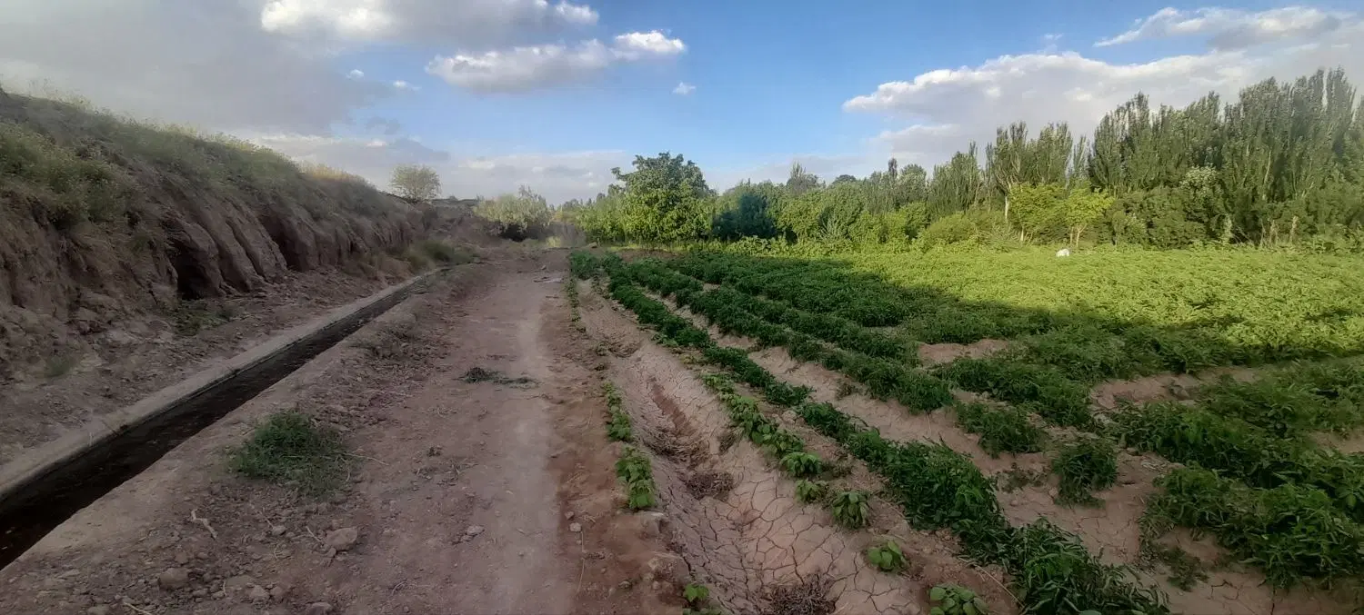 فروش زمین کشاورزی خوش موقعیت مناسب سرمایه‌گذاری