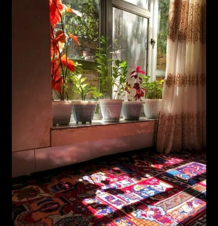 اجاره خانه درمیدان انبه