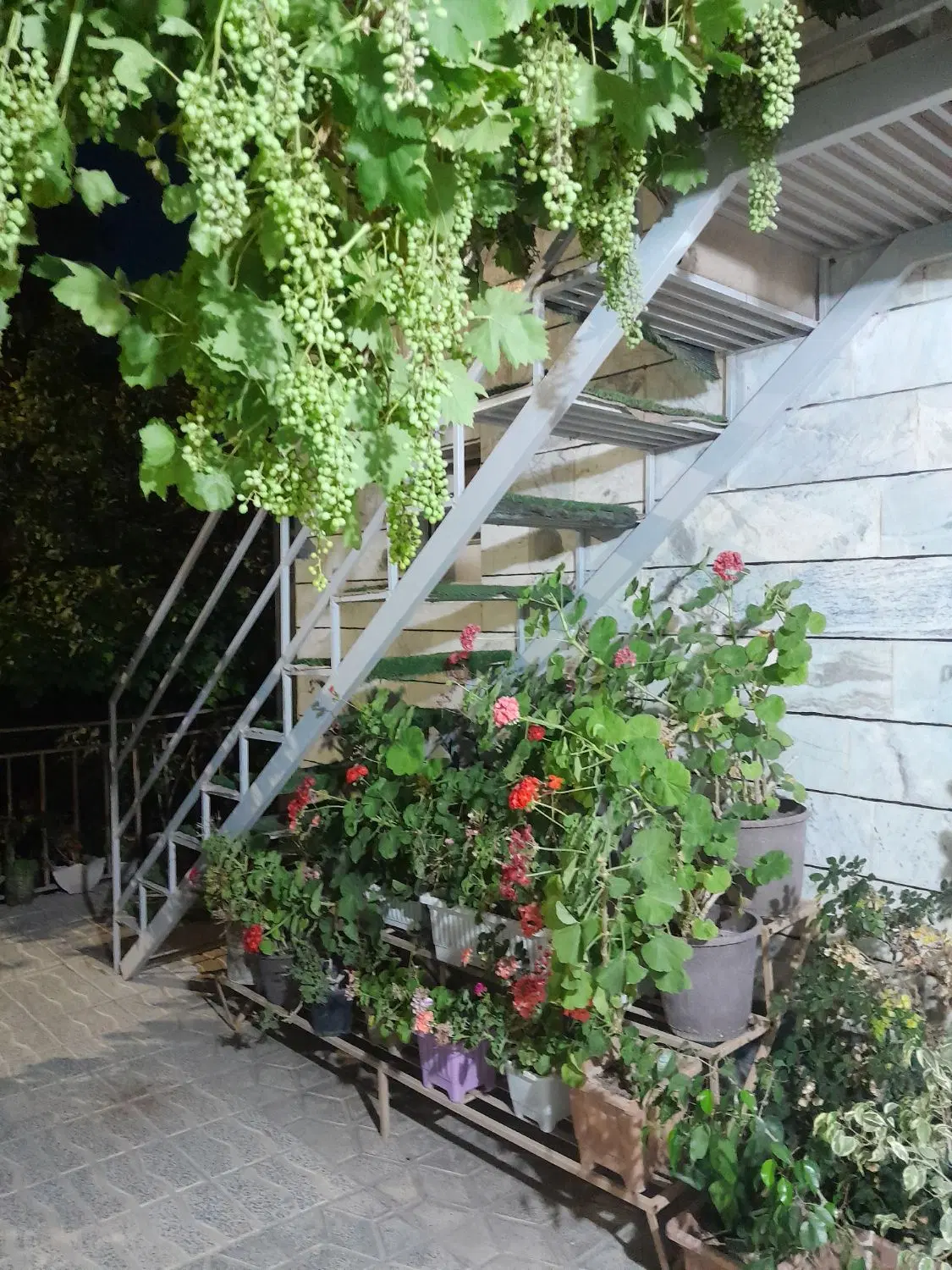 سوئیت اجاره ای