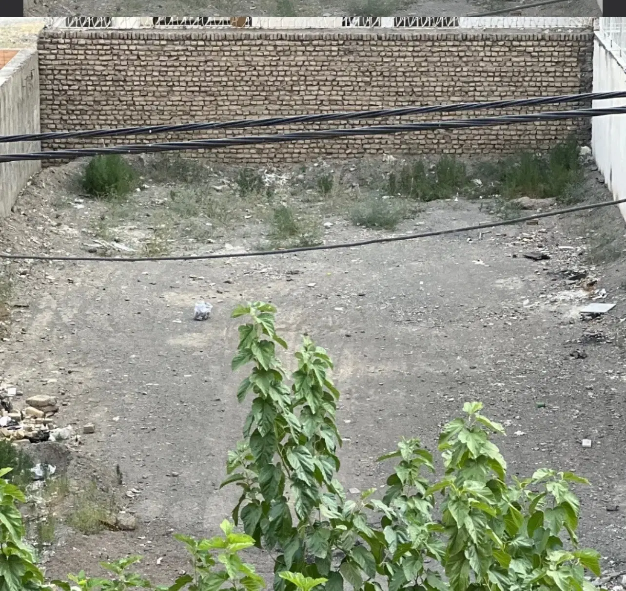 زمین فروشی گلبهار محله ۷