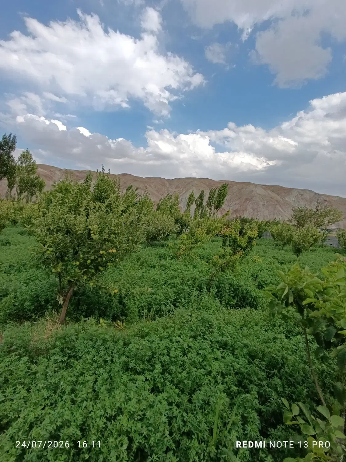 باغ