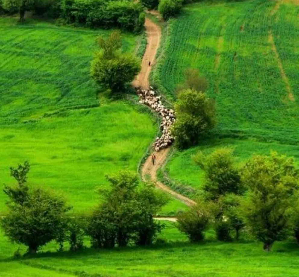 300 متر زمین در مازندران