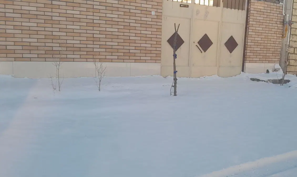 باغ