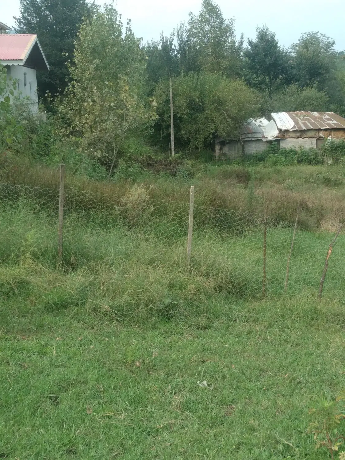 زمین مسکونی ۱۵۰۰ متری روستایی