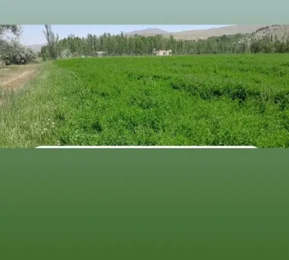 زمینی در روستای ارزانفود