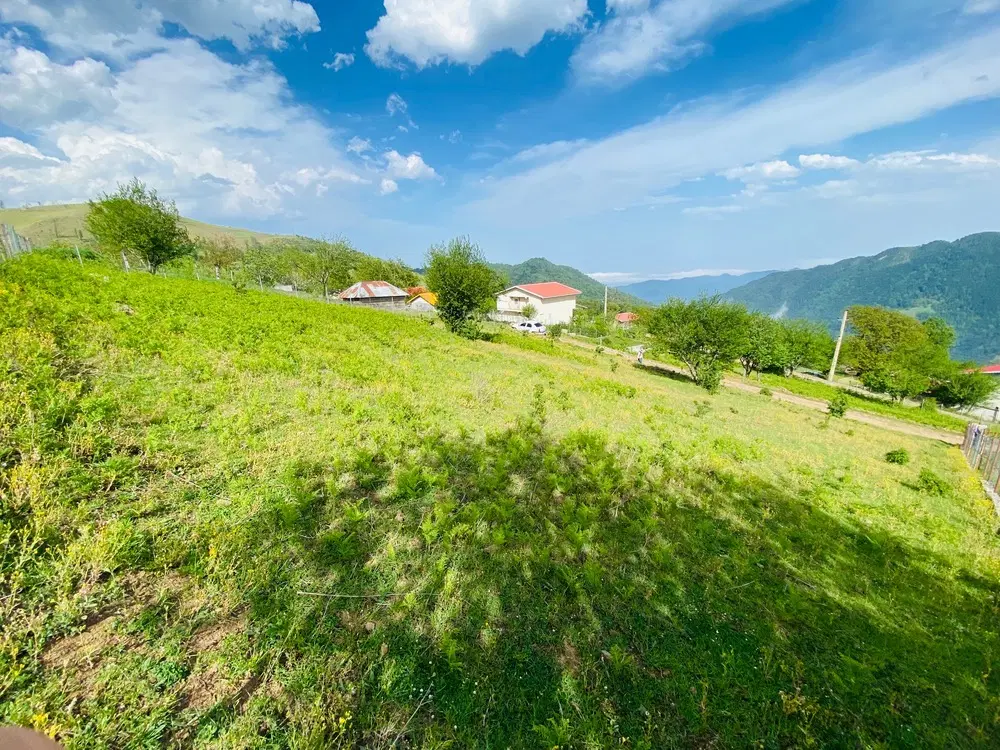 زمین ییلاق(کوه) ونی خونی ریک تالش