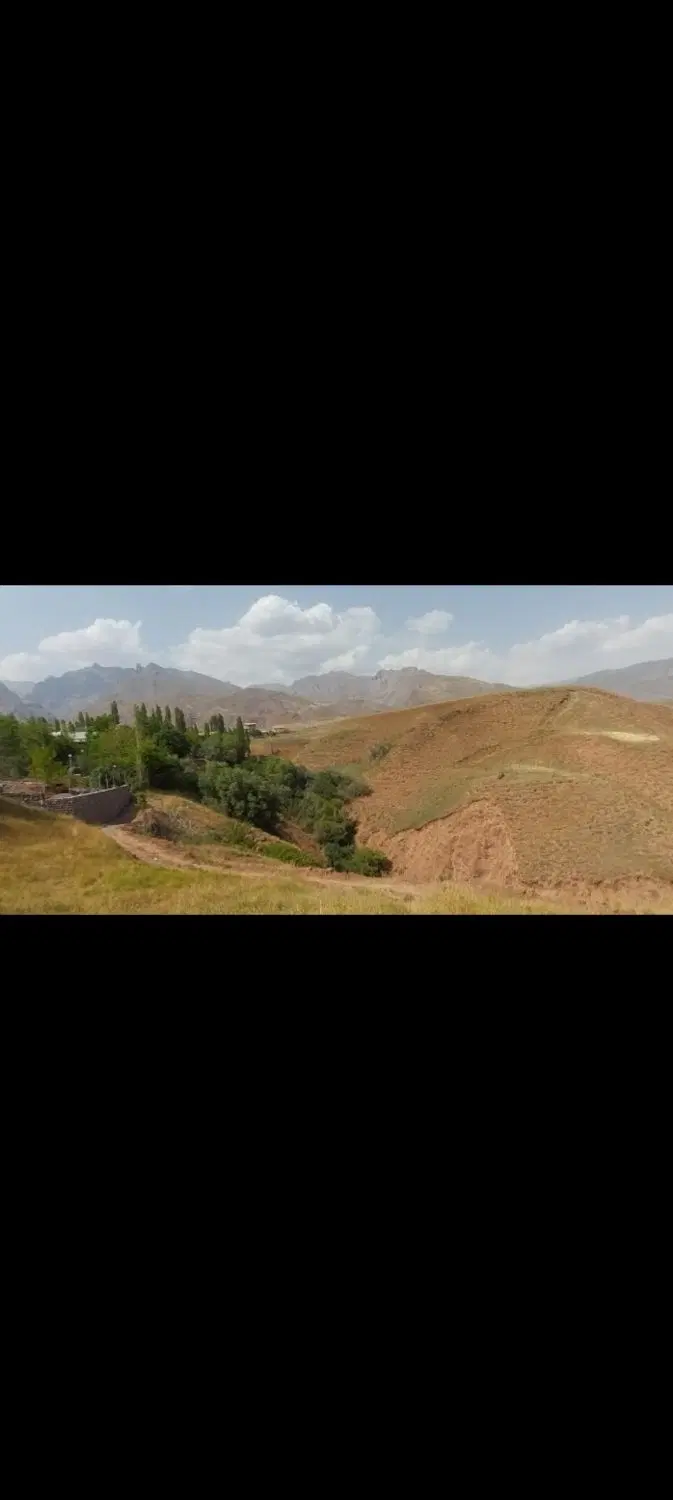 زمین