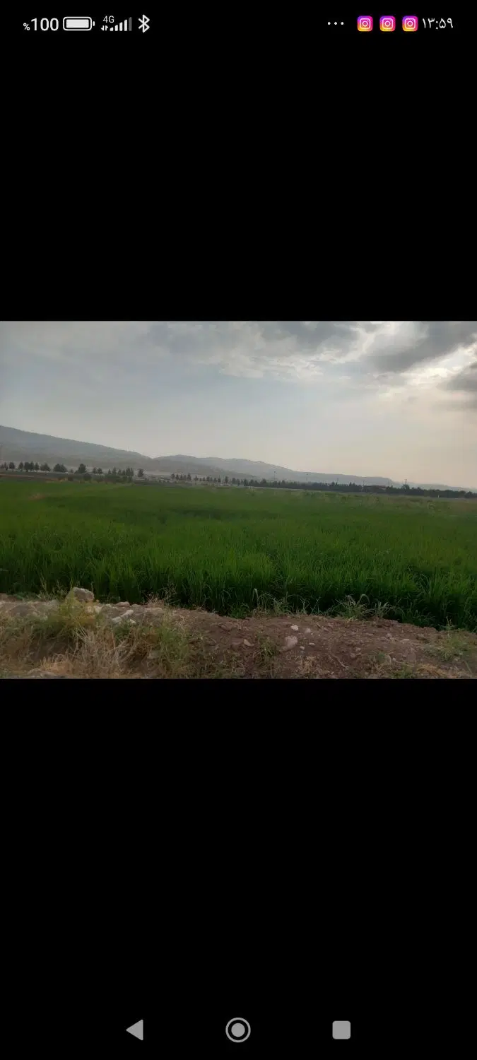 فروش زمین کشاورزی ۸۰۰ متری در دست به زانو