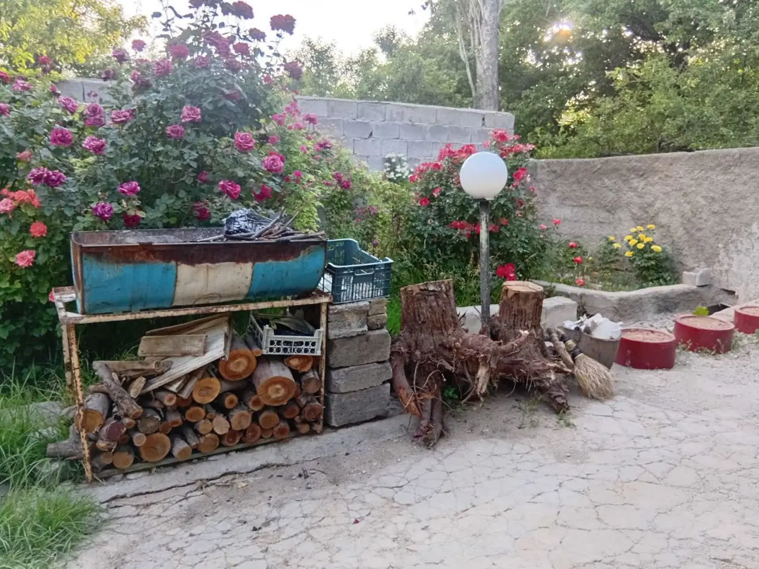 باغ پشت مجتمع پردیسان