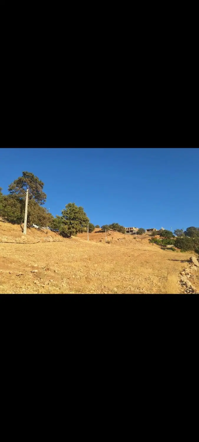 زمین دهنو