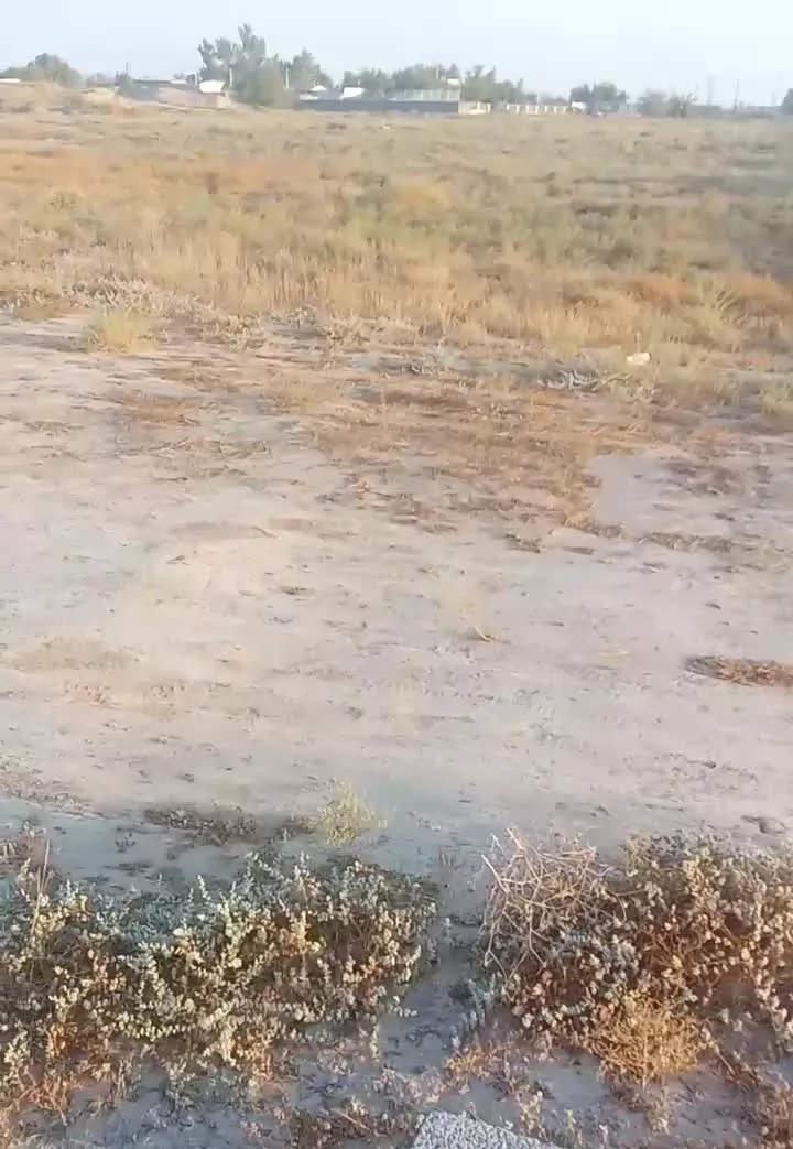 زمین